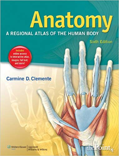 Anatomy 6th Edition