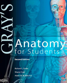 Gray's Anatomy for Students 2nd Edition