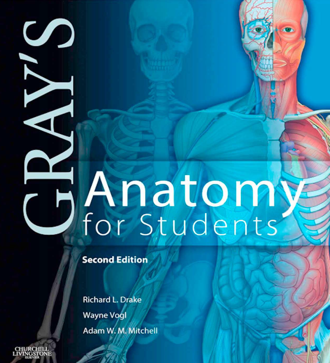 Gray’s Anatomy for Students 2nd Edition, ISBN-13: 978-0443069529