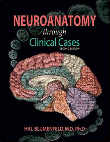 Neuroanatomy through Clinical Cases 2nd Edition
