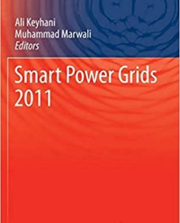 Smart Power Grids 2011
