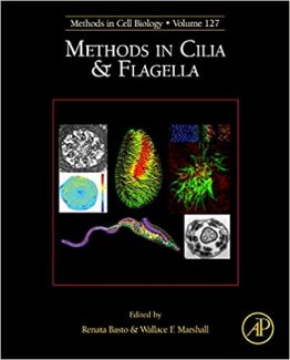 Methods in Cilia and Flagella 1st Edition by Renata Basto