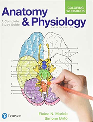 Anatomy and Physiology Coloring Workbook 12th Edition