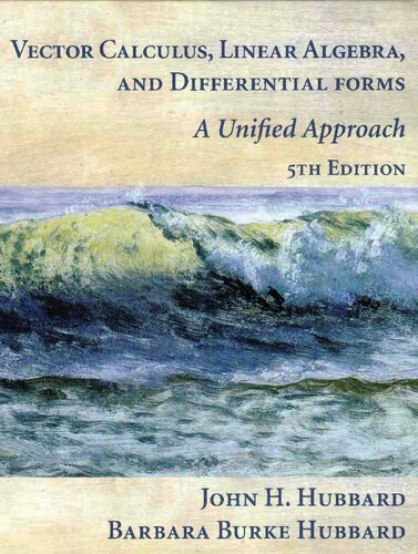 Vector Calculus Linear Algebra and Differential Forms 5th Edition