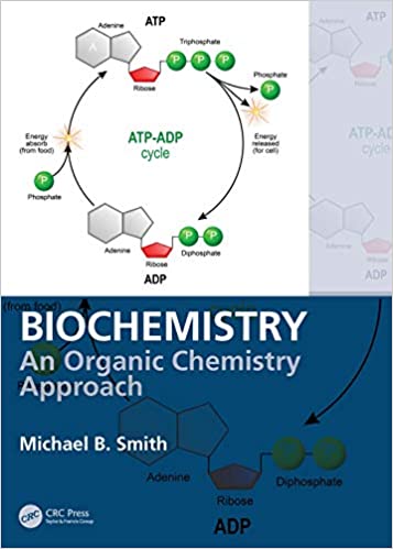 Biochemistry An Organic Chemistry Approach 1st Edition by Michael B. Smith