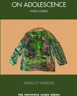 On Adolescence Inside Stories by Margot Waddell