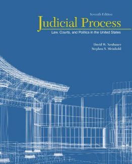 Judicial Process Law Courts and Politics in the United States 7th Edition by David W. Neubauer