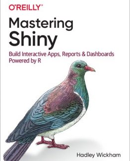 Mastering Shiny Build Interactive Apps Reports and Dashboards Powered by R