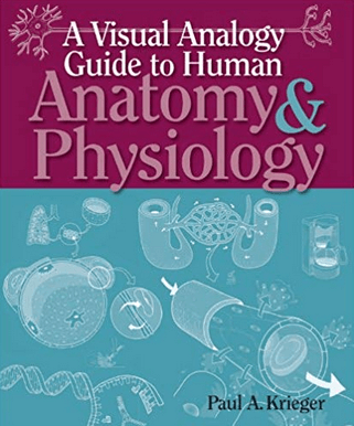 A Visual Analogy Guide to Human Anatomy & Physiology by Paul A. Krieger, 1st Edition, ISBN-13: 978-0895828019