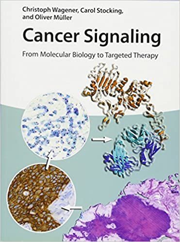 Cancer Signaling: From Molecular Biology to Targeted Therapy by Christoph Wagener, ISBN-13: 978-3527336586