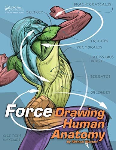 FORCE: Drawing Human Anatomy 1st Edition by Mike Mattesi, ISBN-13: 978-0415733977