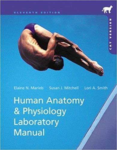 Human Anatomy & Physiology: Cat Version 11th Edition, ISBN-13: 978-0321822192