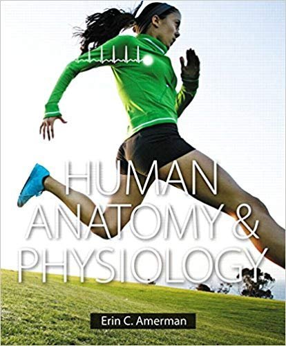 Human Anatomy & Physiology by Erin C. Amerman, ISBN-13: 978-0805382952