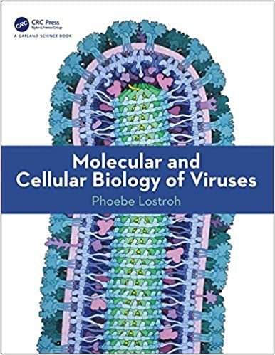 Molecular and Cellular Biology of Viruses 1st Edition by Phoebe Lostroh, ISBN-13: 978-0815345237