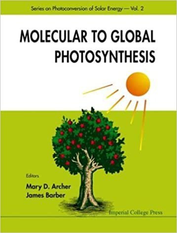 Molecular to Global Photosynthesis Vol. 2 by Mary D. Archer, ISBN-13: 978-1860942563